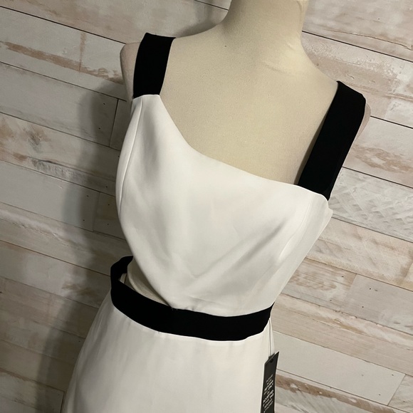 NWT BCBGMAXAZRIA size 8 Roxana maxi dress - Picture 5 of 11